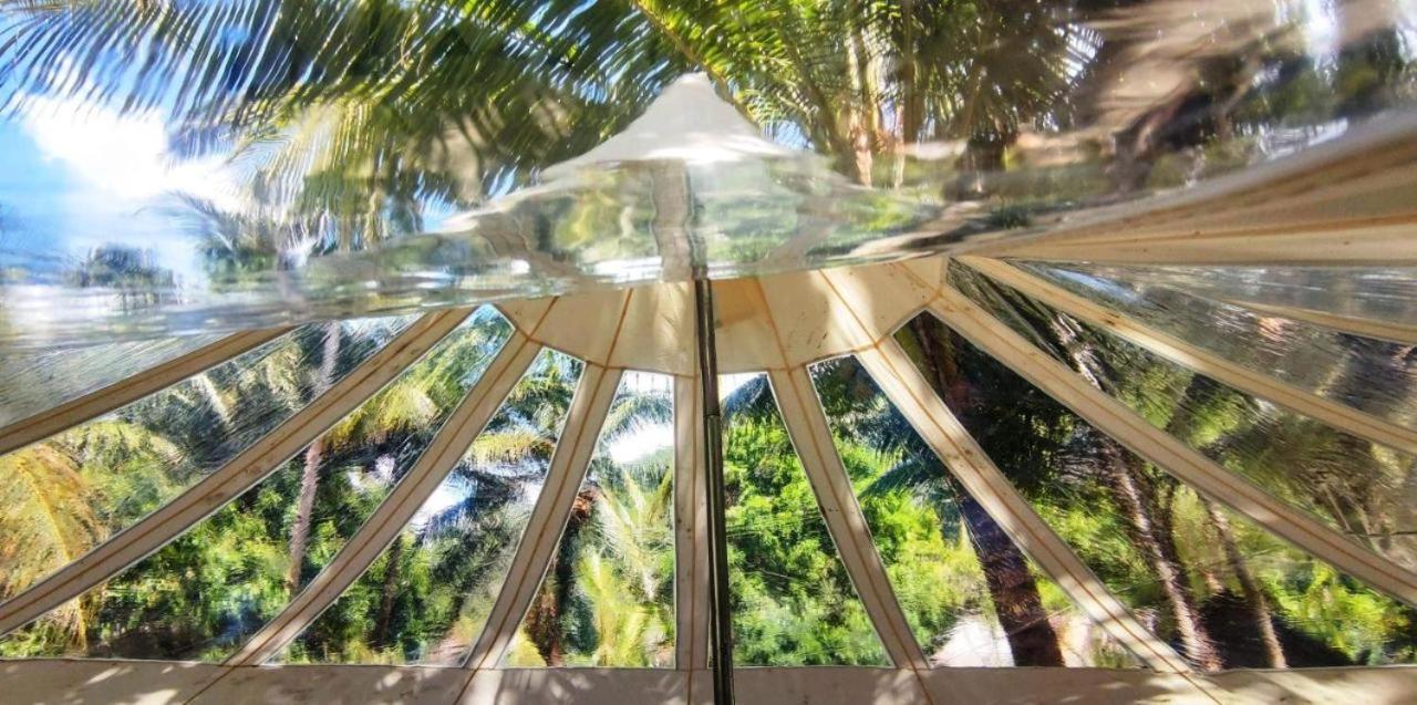 Firesky Glamping Ocam Ocam Beach New Busuanga Εξωτερικό φωτογραφία