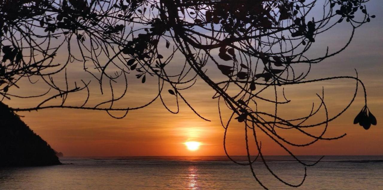 Firesky Glamping Ocam Ocam Beach New Busuanga Εξωτερικό φωτογραφία
